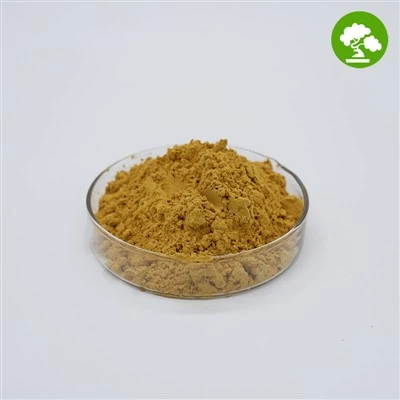 Bacopa Monnieri-extract